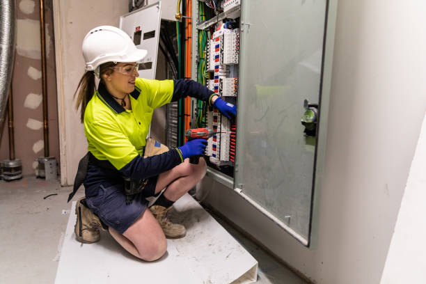 Best Electric Panel Repair  in Owens Cross Roads, AL